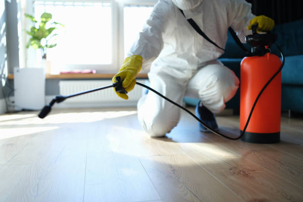 Trusted Trauma Scene Cleanup service in Diamond Springs, CA - Four Month Blood Cleanse